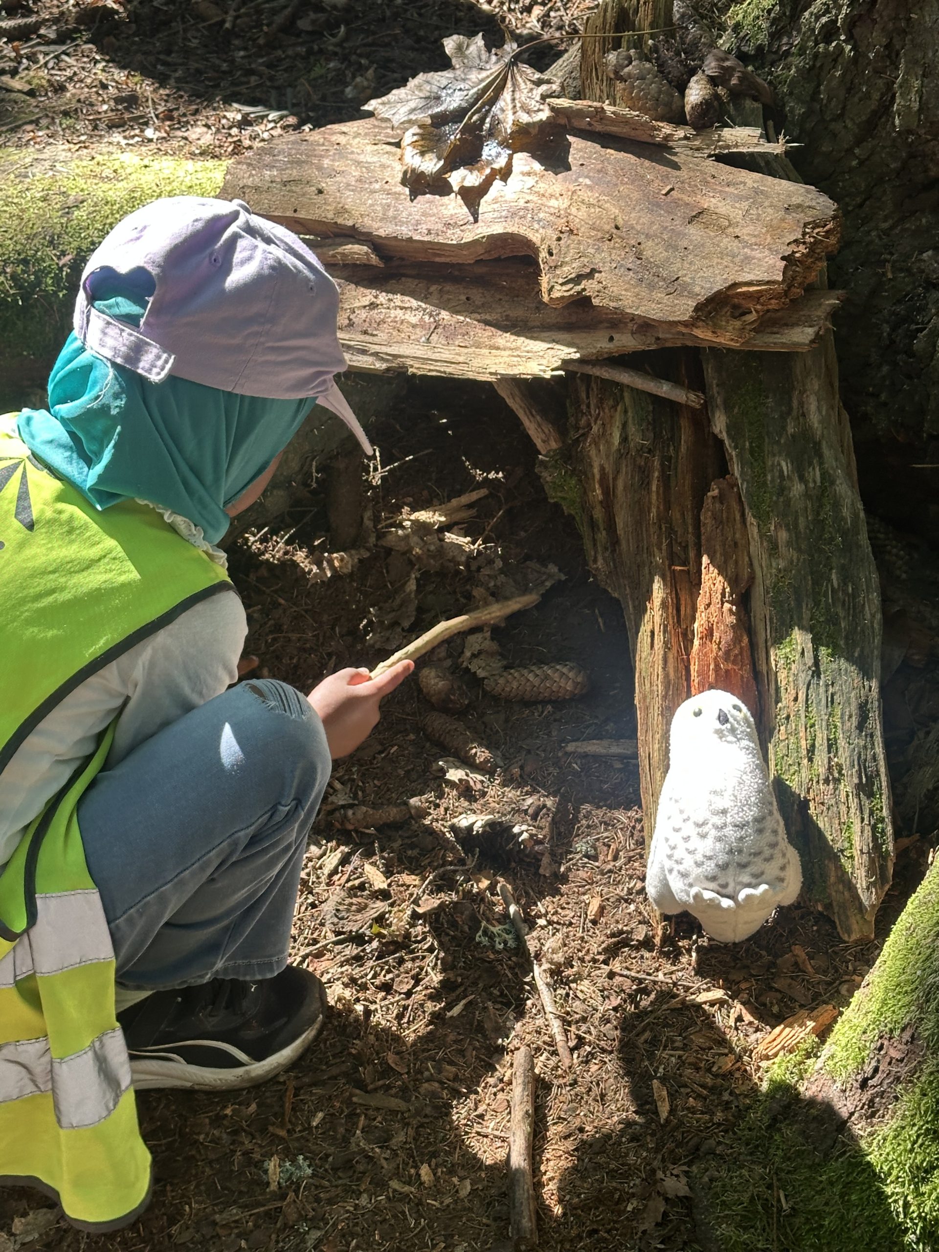 A child exploring a small bark shelter beside Oiva the owl in the forest