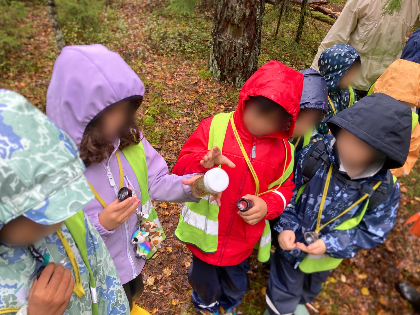 Olari children examining woodland materials at Villa Elfvik